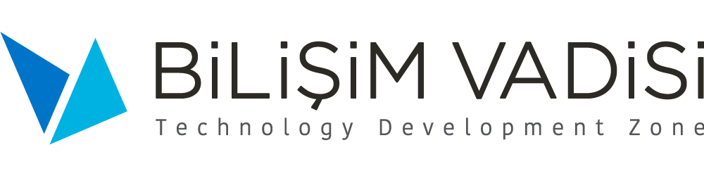 bilisimvadisi